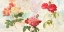 Picture of REDOUTES ROSES 2.0