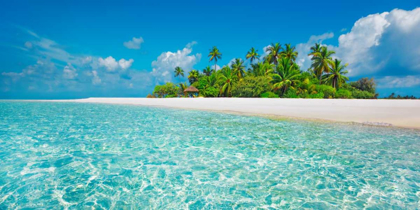 Picture of PALM ISLAND, MALDIVES