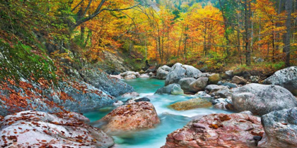 Picture of MOUNTAIN BROOK AND ROCKS, CARINTHIA, AUSTRIA