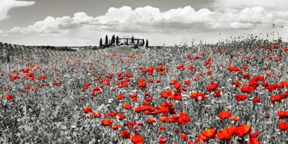 Picture of FARM HOUSE WITH CYPRESSES AND POPPIES, TUSCANY, ITALY