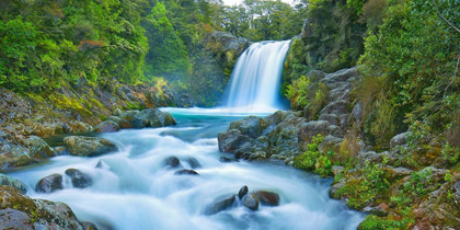 Picture of TAWHAI FALLS, NEW ZEALAND
