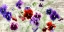 Picture of FIELD OF PANSIES