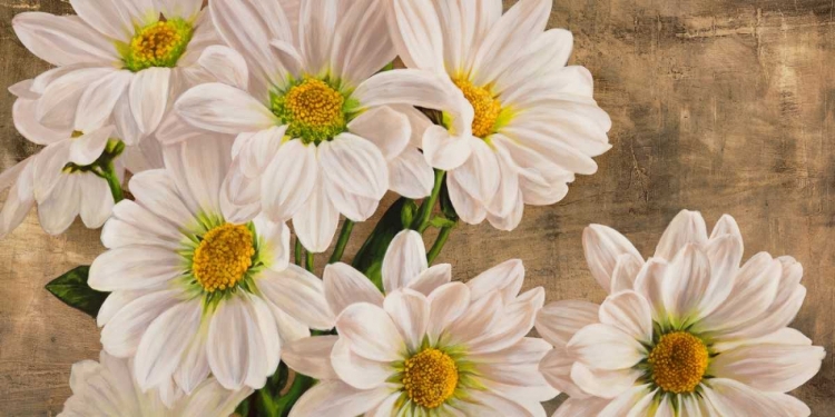 Picture of DAISIES IN THE MOONLIGHT