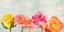 Picture of FUNKY ROSES