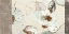 Picture of PARURE (NEUTRAL)