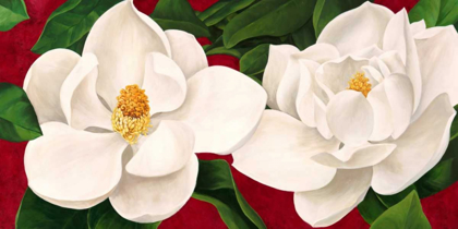 Picture of MAGNOLIE IN FIORE