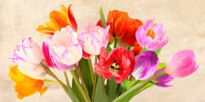 Picture of TULIPS IN SPRING