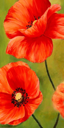 Picture of POPPIES IN THE WIND I