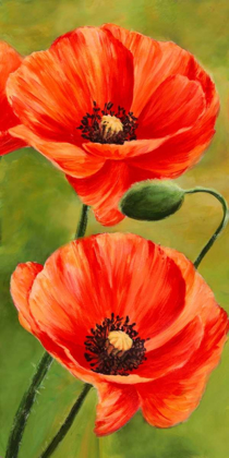 Picture of POPPIES IN THE WIND II