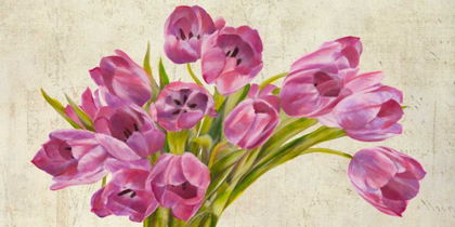 Picture of TULIPES