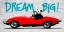 Picture of DREAM BIG!
