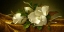 Picture of MAGNOLIAS ON GOLD VELVET CLOTH