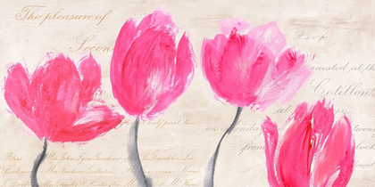Picture of CLASSIC TULIPS