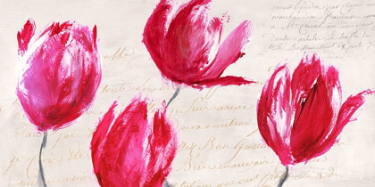 Picture of CRIMSON TULIPS