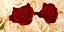 Picture of ROSE COMPOSITION