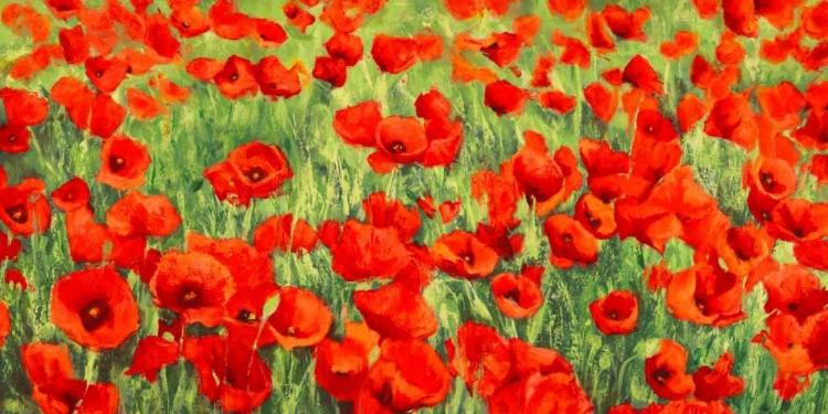 Picture of POPPY FIELD