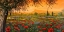 Picture of PIANURA IN FIORE