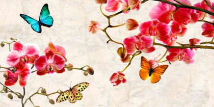 Picture of ORCHIDS AND BUTTERFLIES