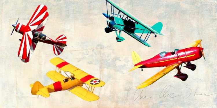 Picture of THE AIR SHOW