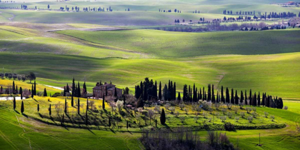 Picture of COUNTRY HOUSES IN TUSCANY
