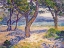 Picture of THE MEDITERRANEAN AT LE LAVANDOU