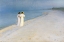 Picture of SUMMER EVENING ON SKAGENS BEACH