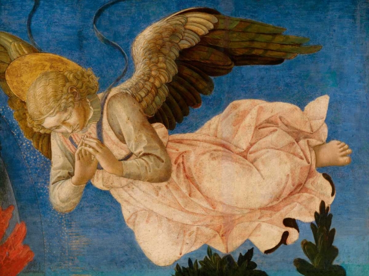 Picture of ANGELO II