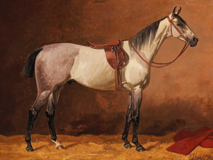 Picture of SADDLED SPORT HORSE