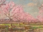 Picture of PEACH ORCHARD ON MAVERICKS FARM