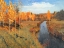 Picture of GOLDEN AUTUMN