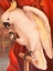 Picture of GREAT SULPHUR-CRESTED COCKATOO