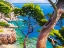 Picture of LAVANDOU