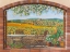 Picture of VERSO LE COLLINE