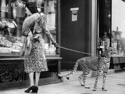 Picture of ELEGANT WOMAN WITH CHEETAH