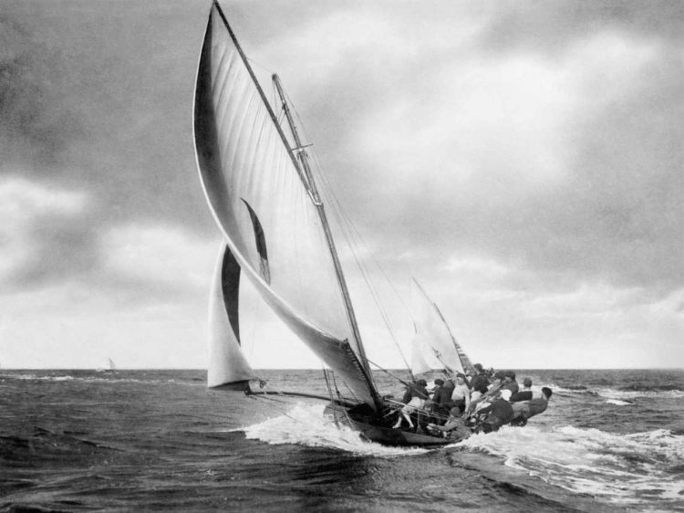 Picture of UNDER SAIL, SYDNEY HARBOUR