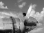 Picture of PROPELLER