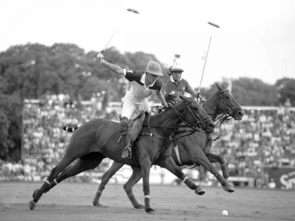 Picture of POLO PLAYERS, ARGENTINA