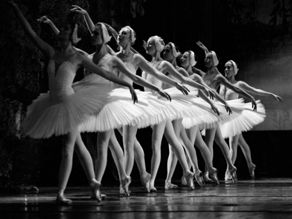 Picture of SWAN LAKE BALLET