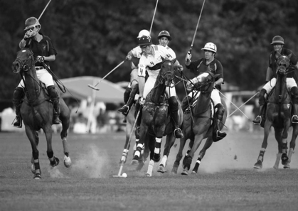 Picture of POLO PLAYERS, NEW YORK
