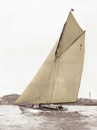 Picture of VICTORIAN SLOOP ON SYDNEY HARBOUR