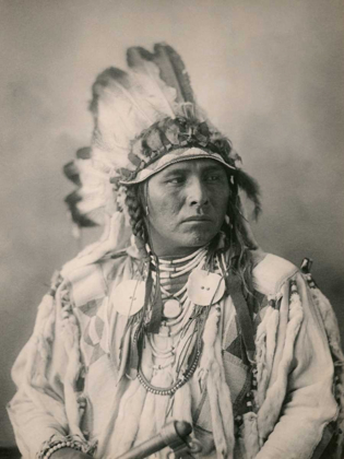 Picture of SPOTTED JACK RABBIT- CROW- 1898