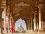 Picture of WOMAN IN TRADITIONAL SARI WALKING TOWARDS TAJ MAHAL