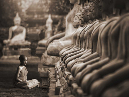 Picture of YOUNG BUDDHIST MONK PRAYING, THAILAND (SEPIA)