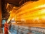 Picture of PRAYING THE RECLINED BUDDHA, WAT PHO, BANGKOK, THAILAND