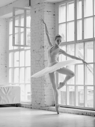 Picture of BALLERINA REHEARSING