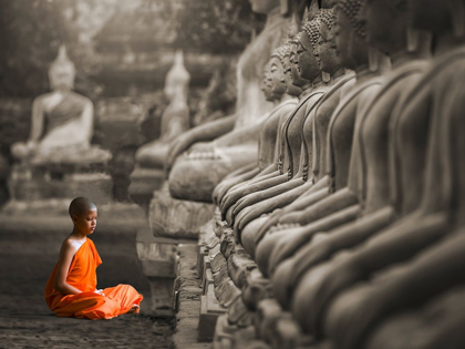 Picture of YOUNG BUDDHIST MONK PRAYING, THAILAND (BW)