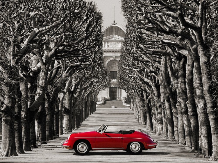 Picture of ROADSTER IN TREE LINED ROAD, PARIS