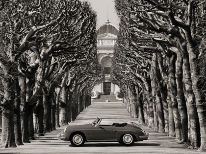 Picture of ROADSTER IN TREE LINED ROAD, PARIS (BW)