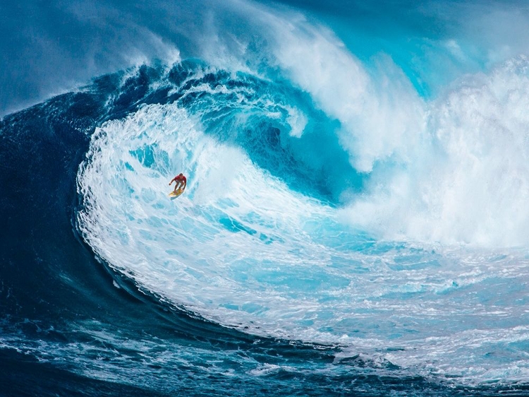 Picture of SURFING THE BIG WAVE, TASMANIA