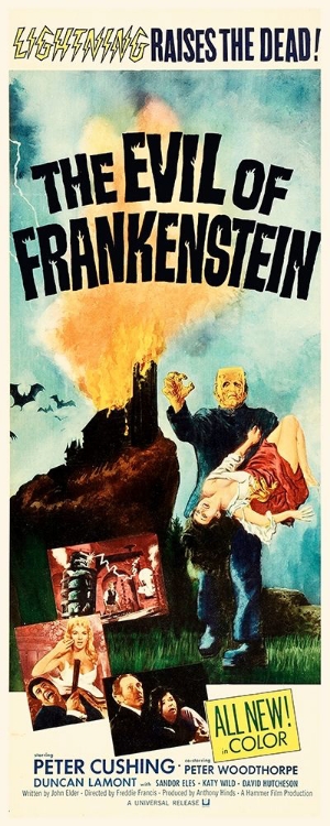 Picture of THE EVIL OF FRANKENSTEIN